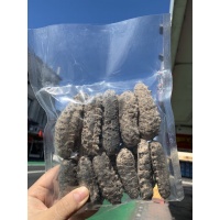 【国内现货】野生鲍鱼刺参 20+只左右 500g